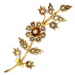 Seed Pearl Spray Brooch